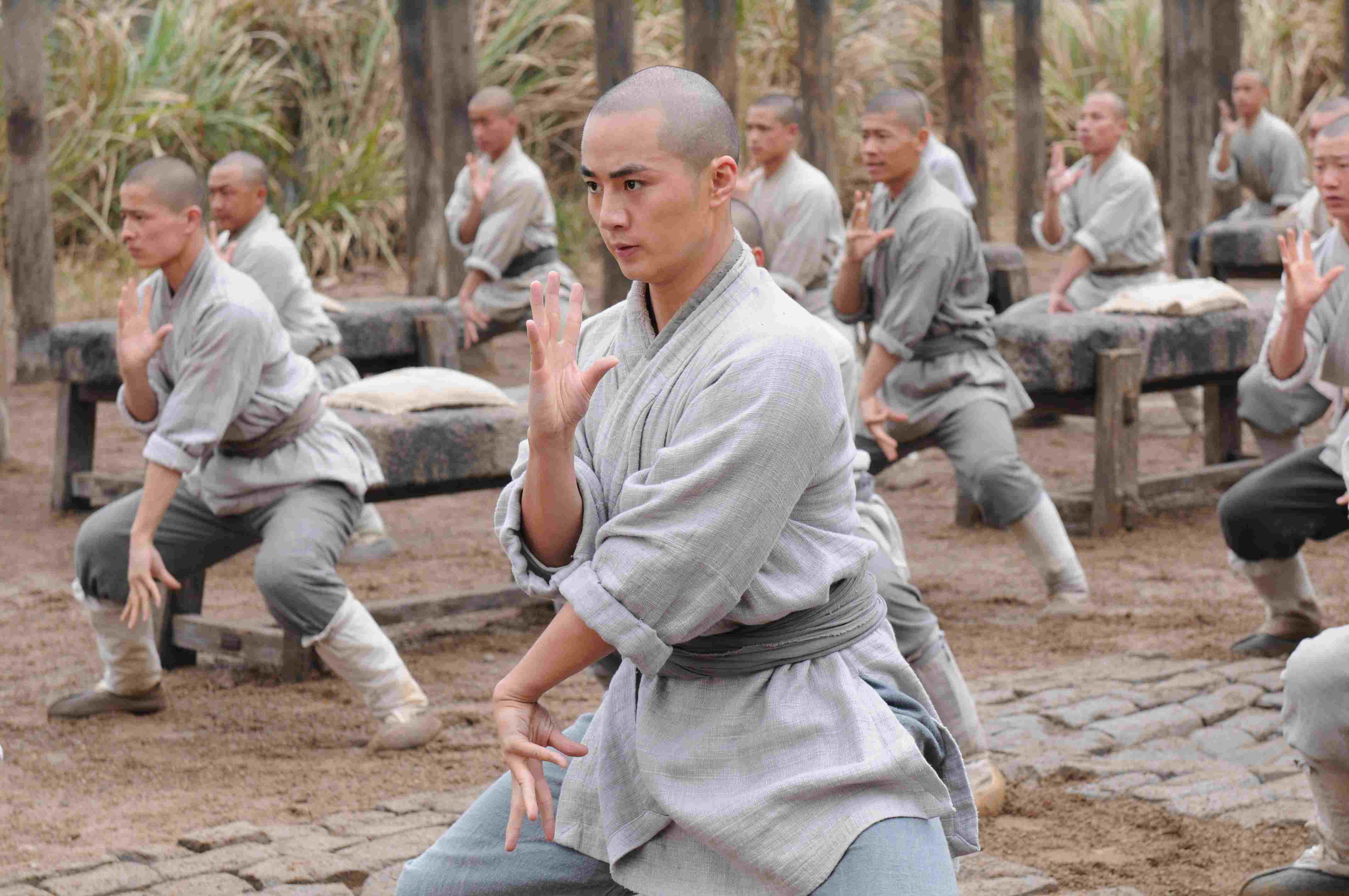 shaolin training: seven star fist – qi xing quan – 少林七星拳